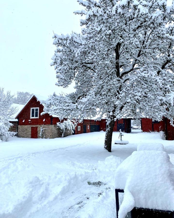 Bo I Egen Stuga Pa Haerlig Oelandsgard Köpingsvik Eksteriør billede